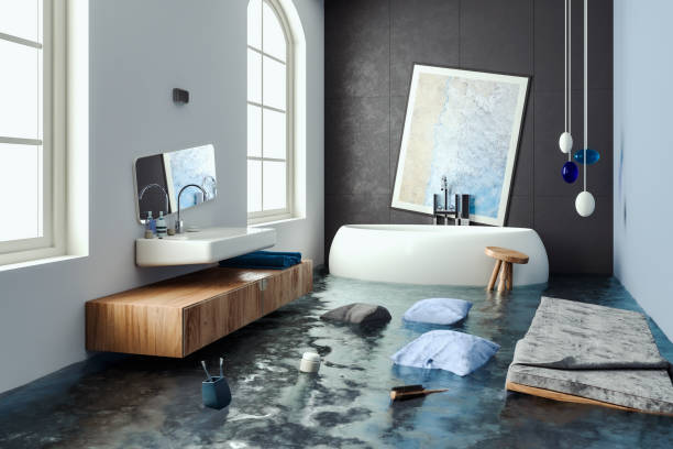 Best Professional water damage repair  in Danville, PA
