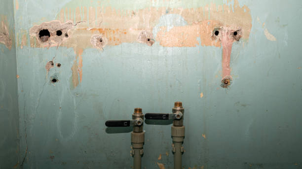 Best Flood restoration services  in Danville, PA